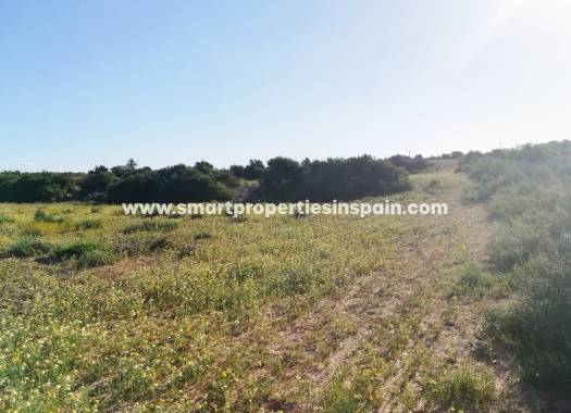 Wederverkoop - Plot - Elche - Valverde
