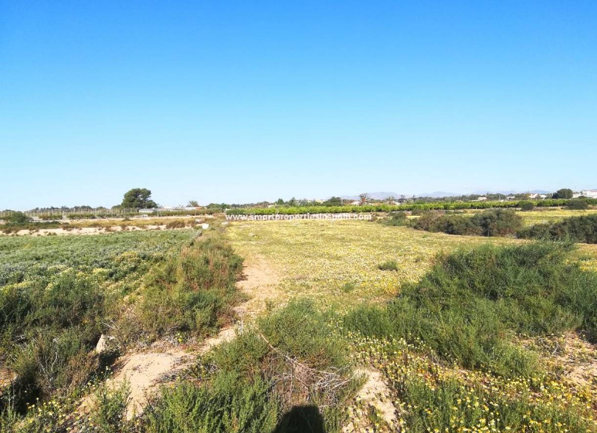 Wederverkoop - Plot - Elche - Valverde