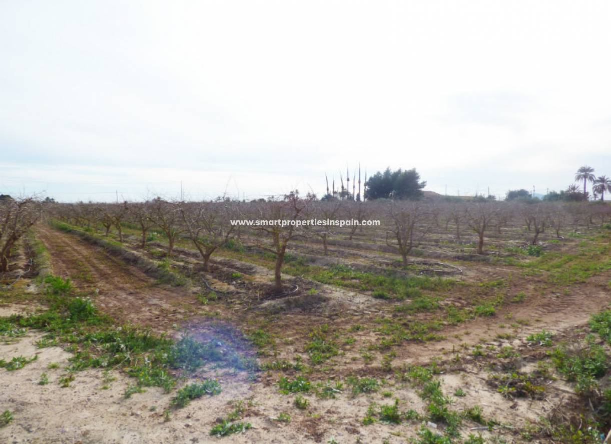 Wederverkoop - Plot - Elche