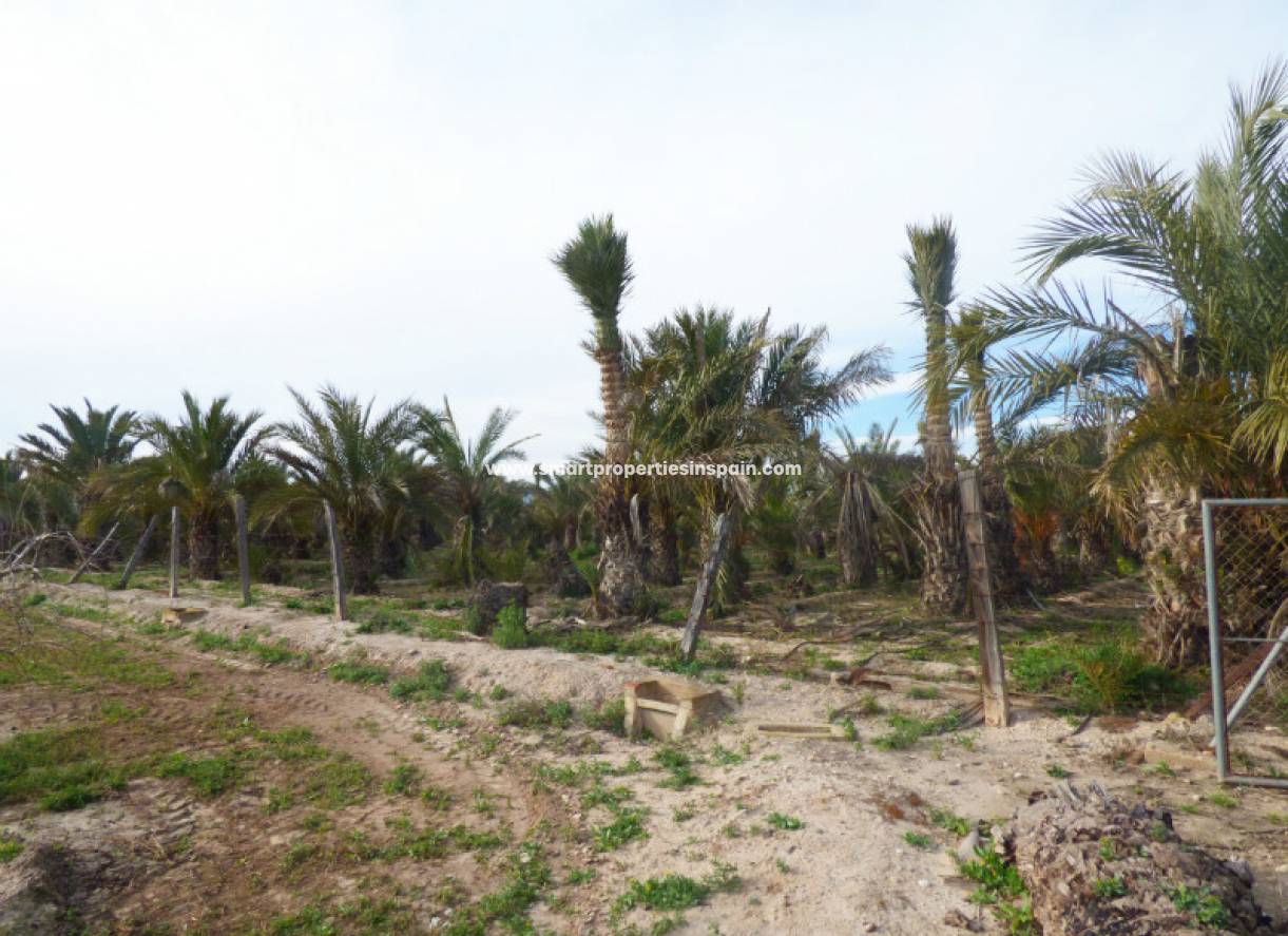 Wederverkoop - Plot - Elche