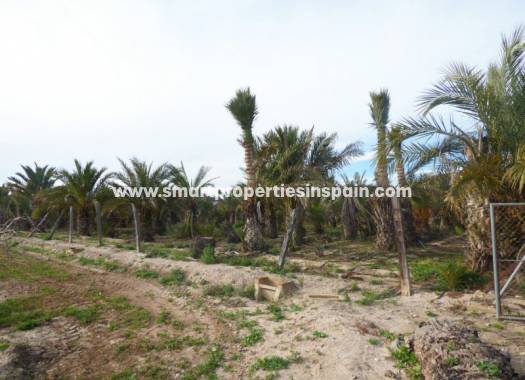 Wederverkoop - Plot - Elche