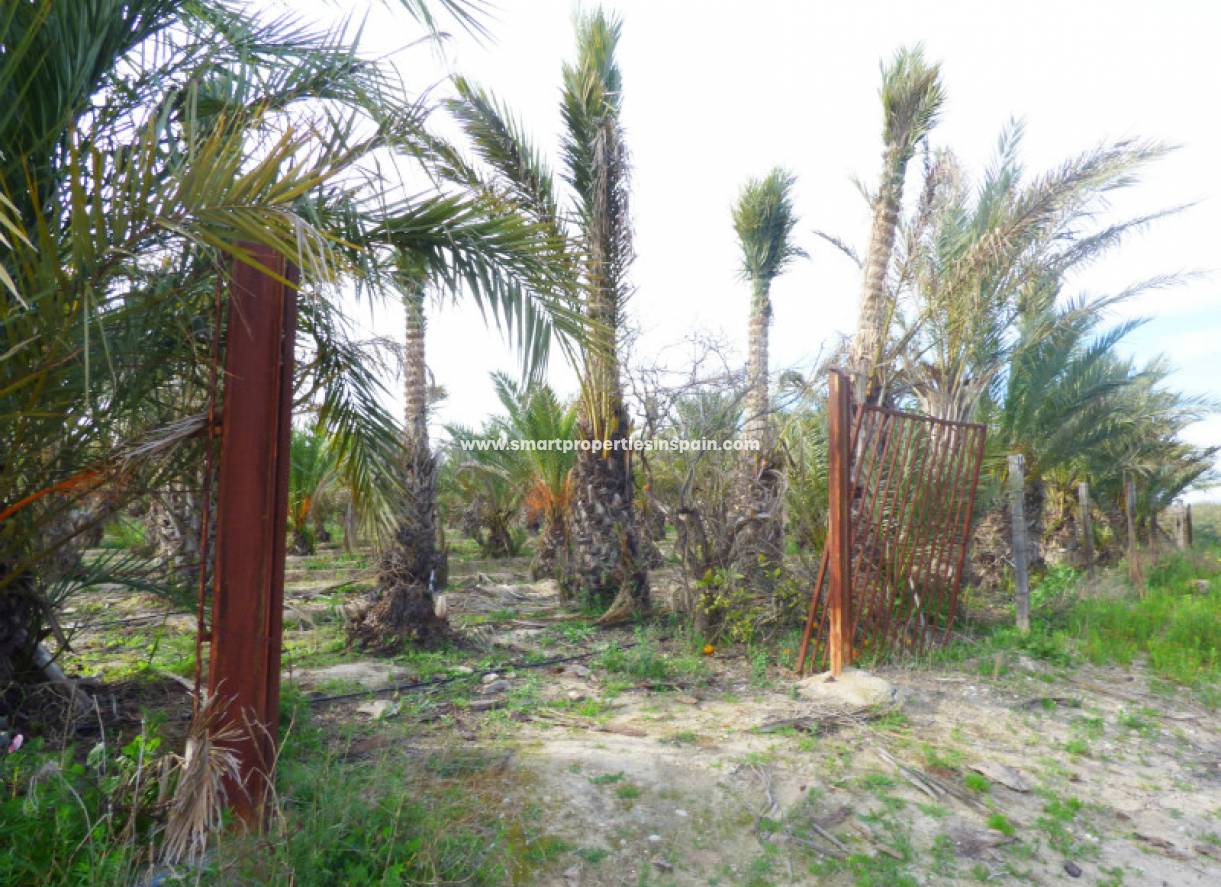 Wederverkoop - Plot - Elche