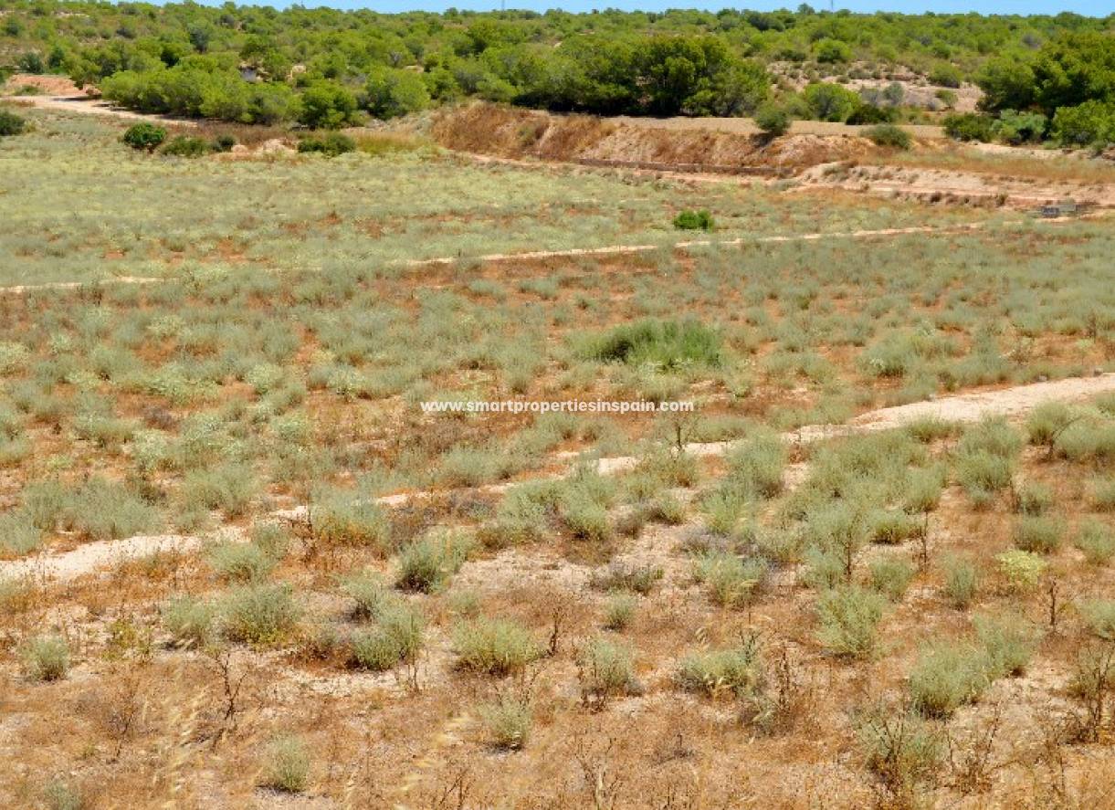 Wederverkoop - Plot - Elche