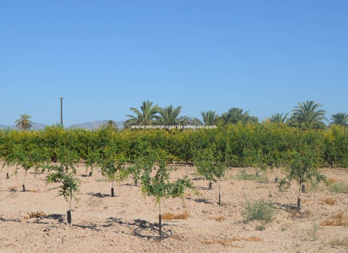 Wederverkoop - Plot - Elche