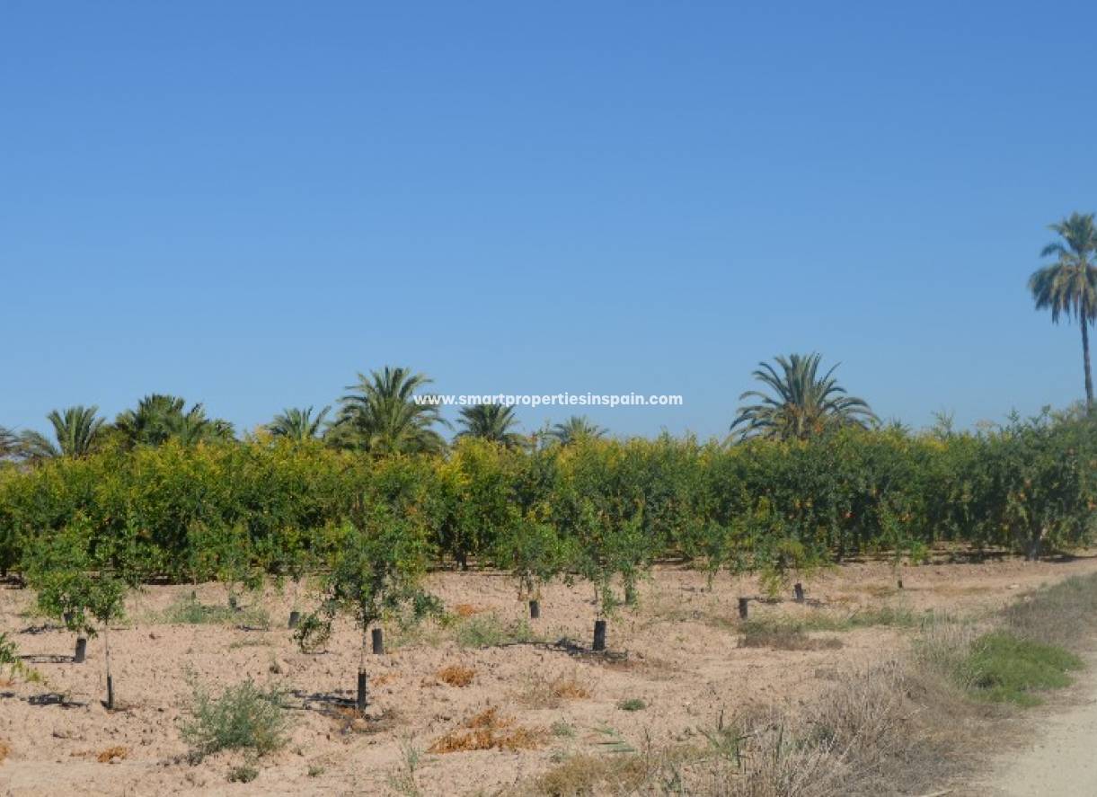 Wederverkoop - Plot - Elche