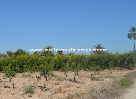 Wederverkoop - Plot - Elche