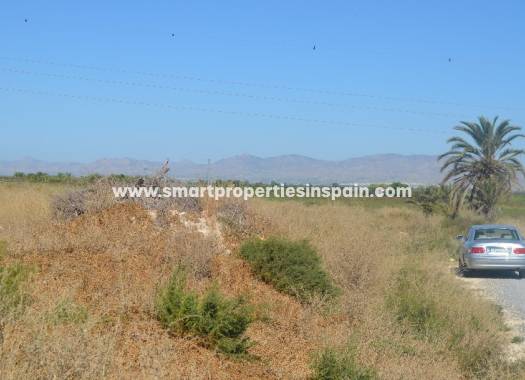 Wederverkoop - Plot - Elche