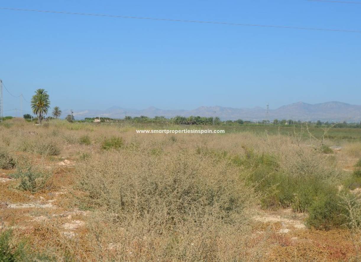 Wederverkoop - Plot - Elche