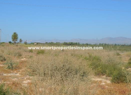 Wederverkoop - Plot - Elche