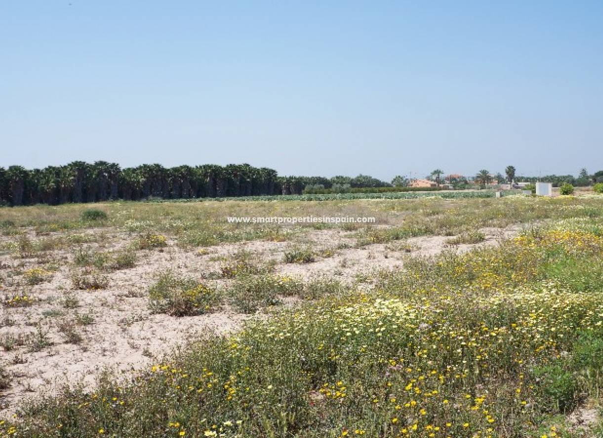 Wederverkoop - Plot - Elche
