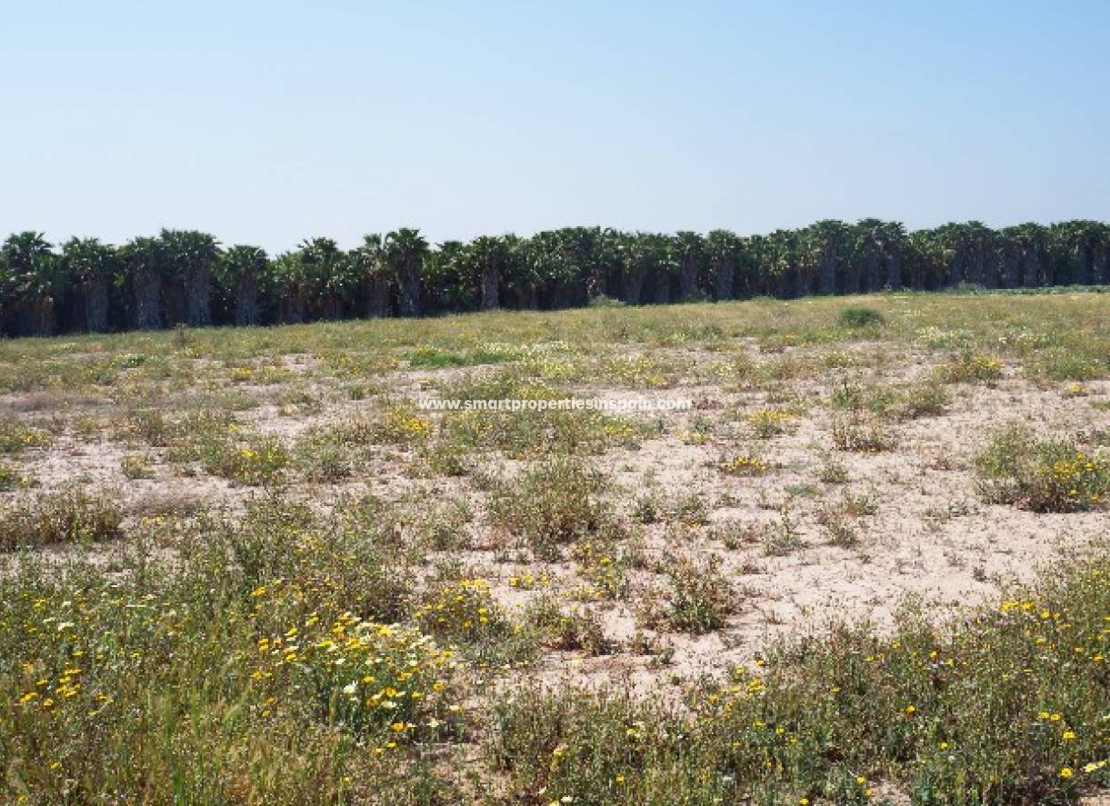 Wederverkoop - Plot - Elche