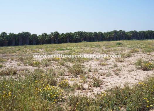 Wederverkoop - Plot - Elche