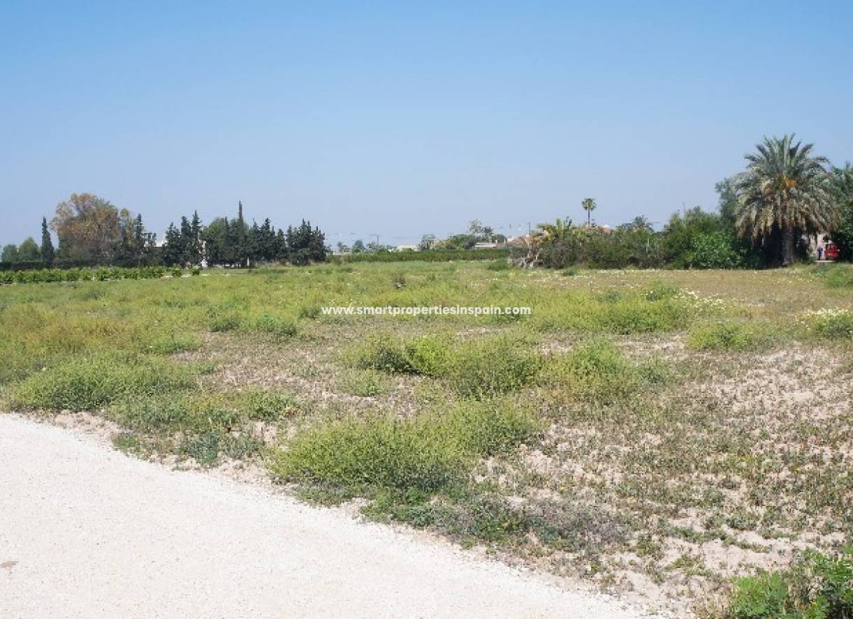 Wederverkoop - Plot - Elche
