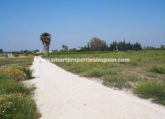 Wederverkoop - Plot - Elche
