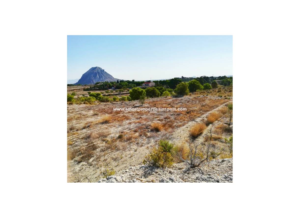 Wederverkoop - Plot - Elche