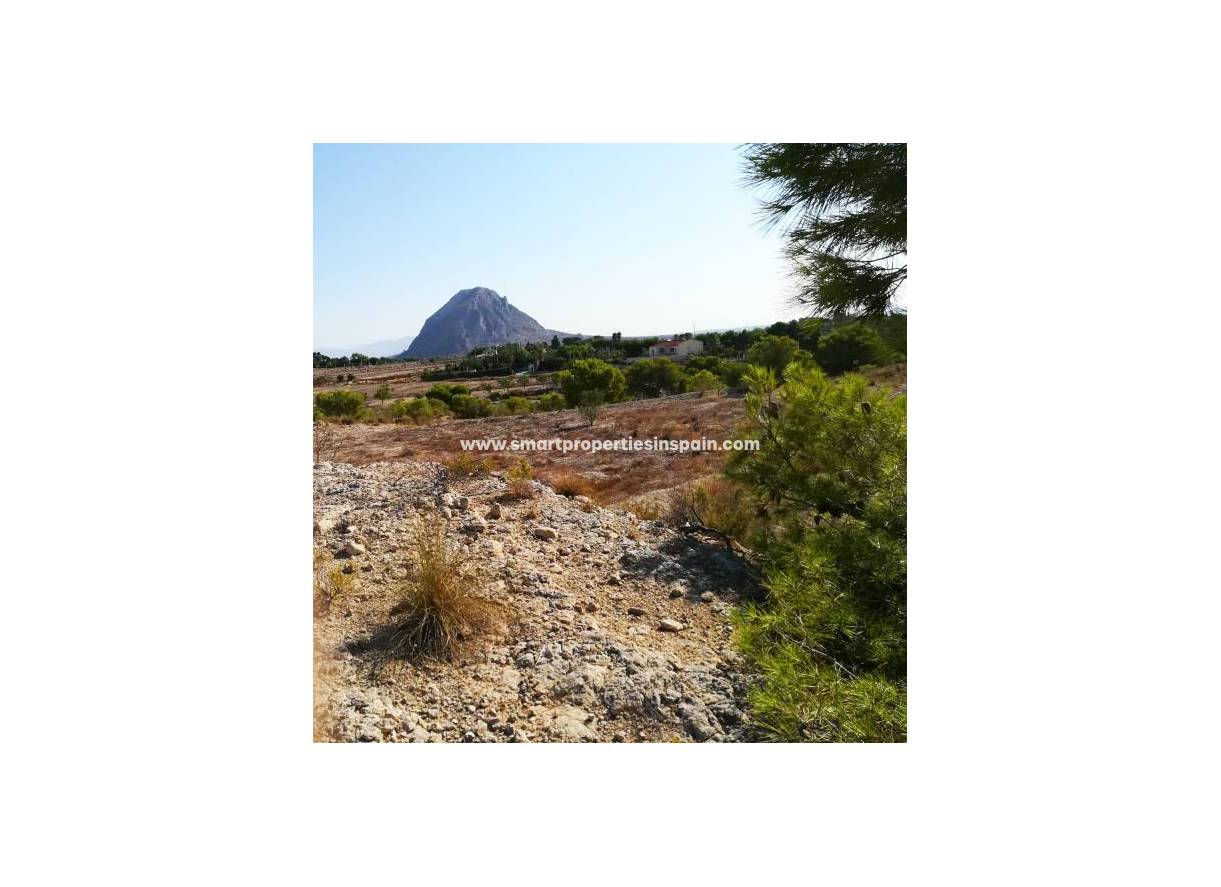 Wederverkoop - Plot - Elche