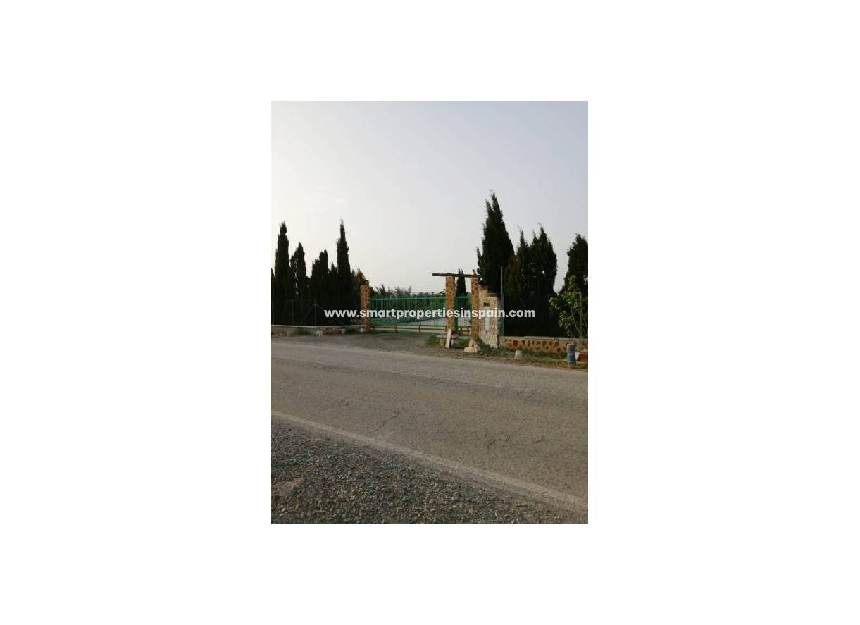 Wederverkoop - Plot - Elche