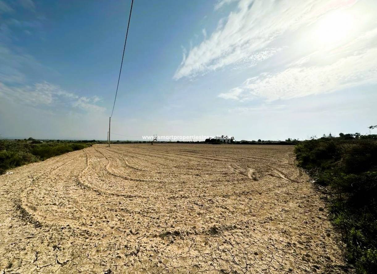 Wederverkoop - Plot - Elche
