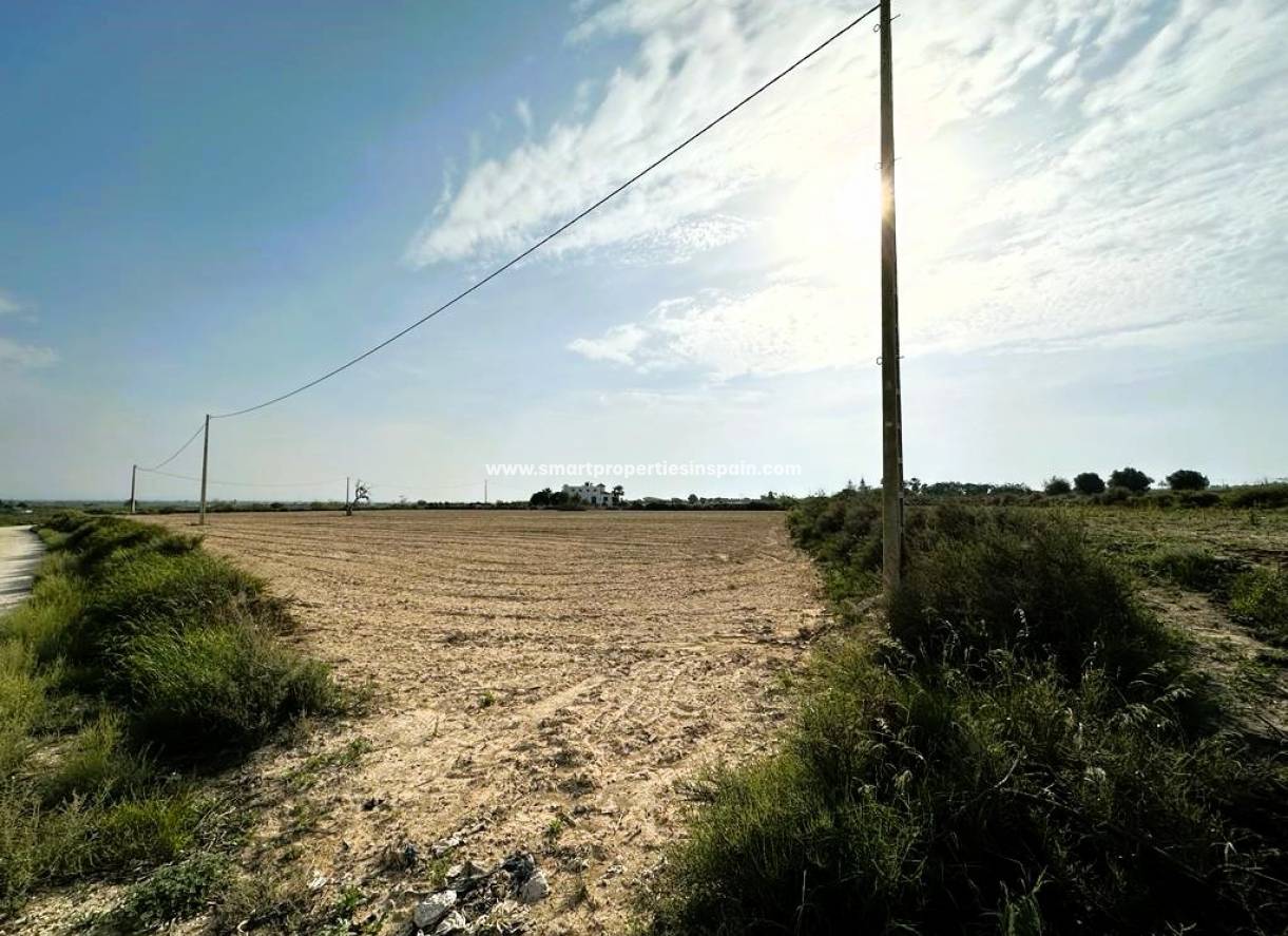 Wederverkoop - Plot - Elche