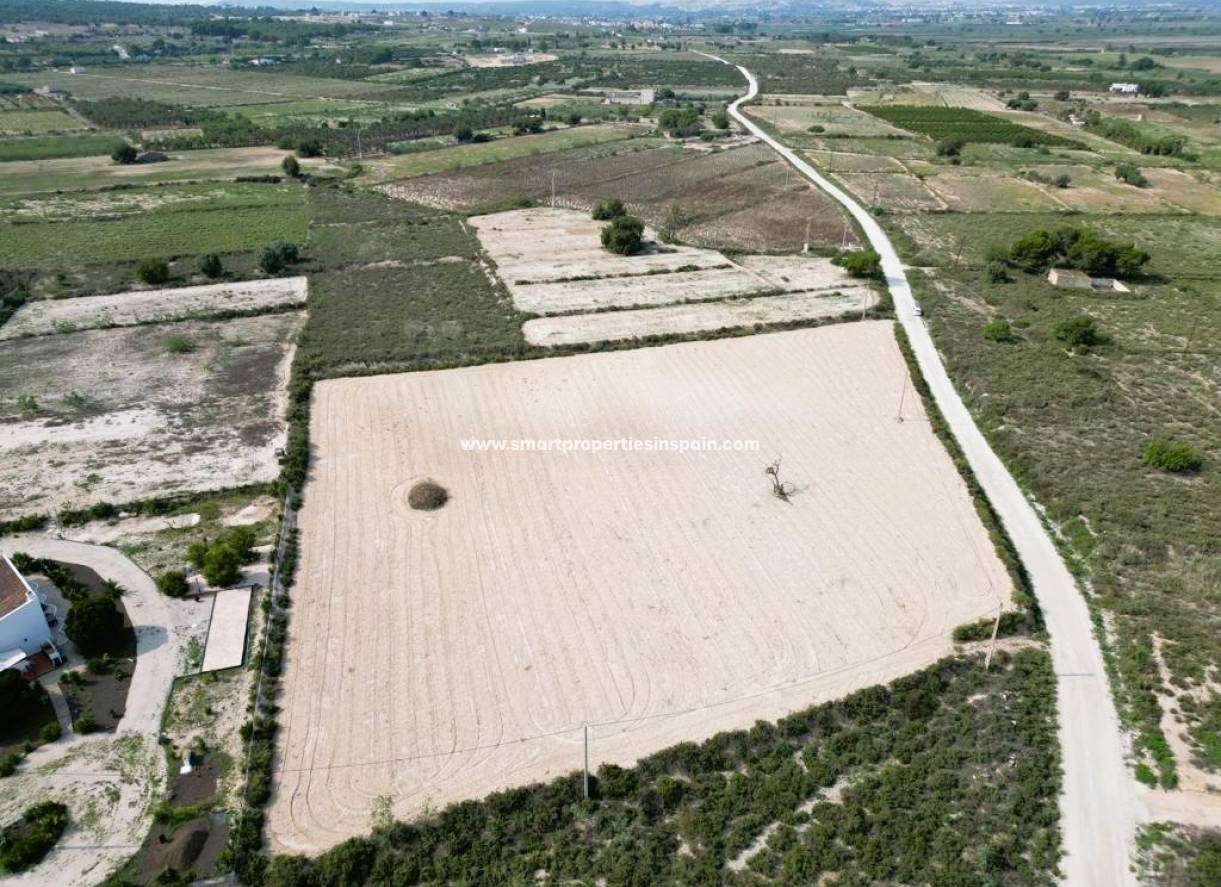 Wederverkoop - Plot - Elche