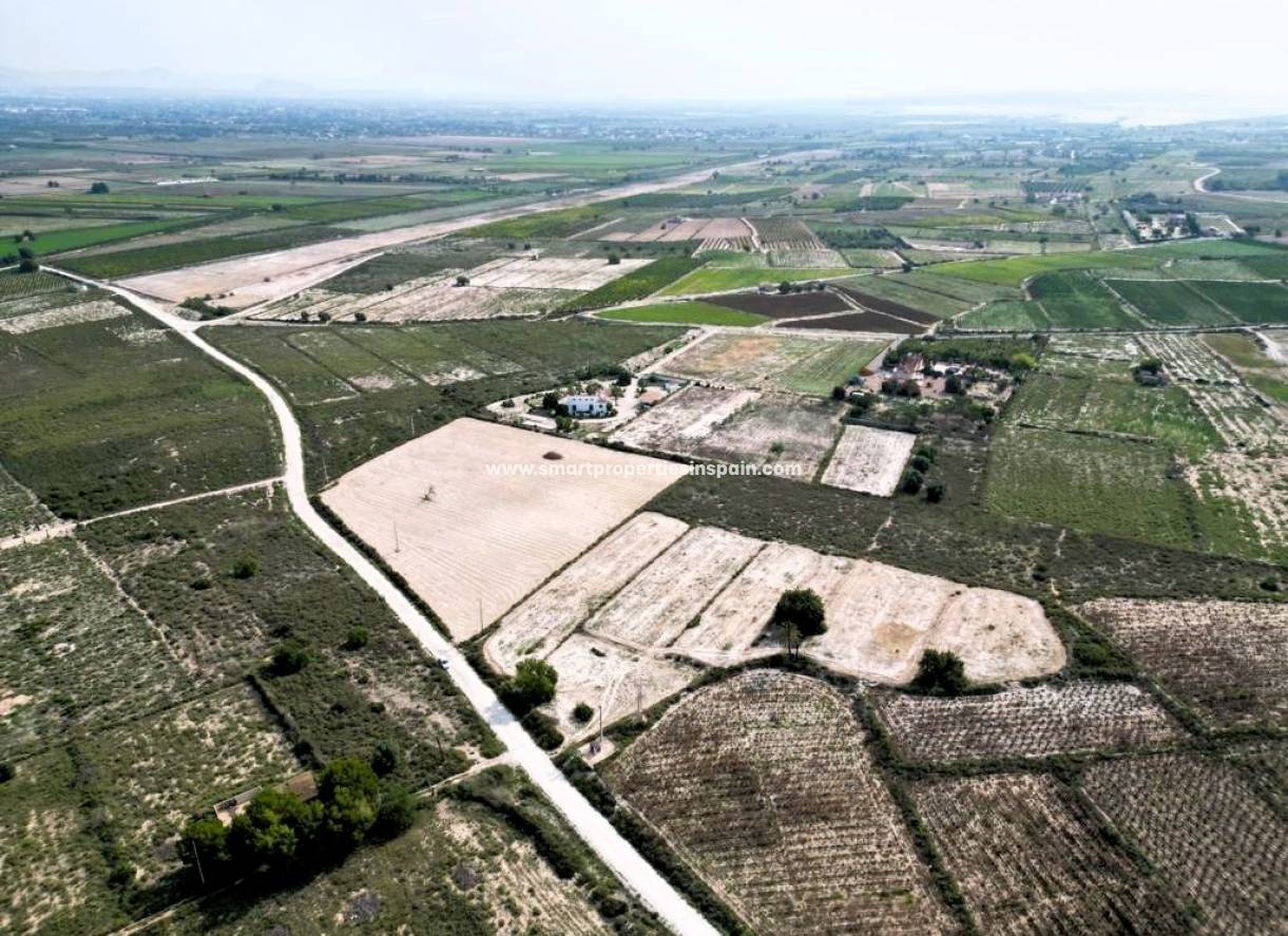 Wederverkoop - Plot - Elche