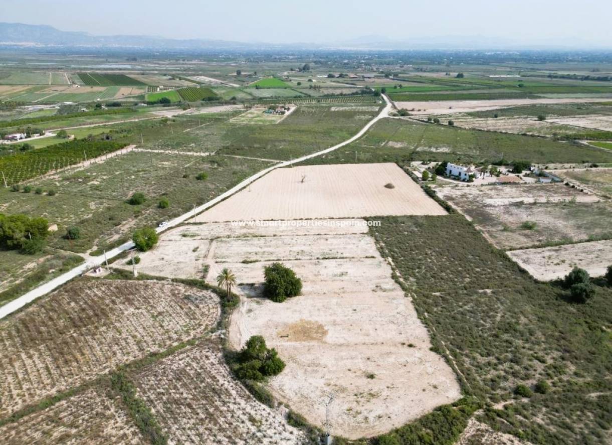 Wederverkoop - Plot - Elche