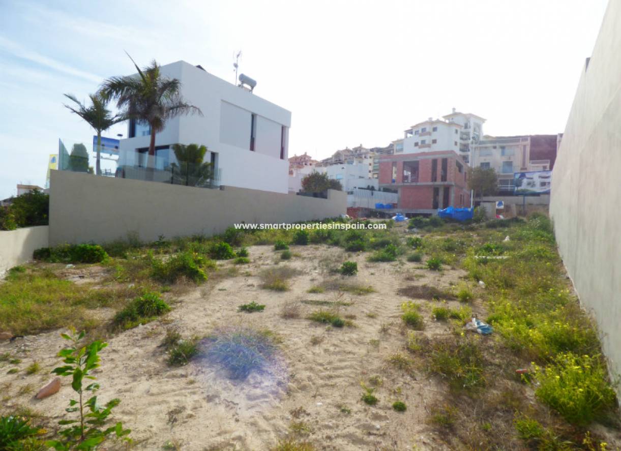 Wederverkoop - Plot - Guardamar  - Guardamar