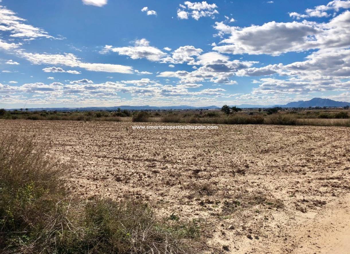 Wederverkoop - Plot - La Marina - Elche