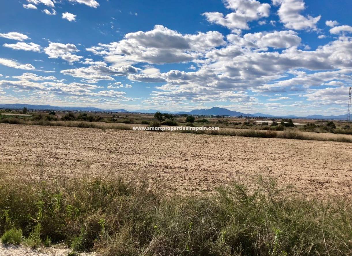 Wederverkoop - Plot - La Marina - Elche