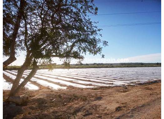 Wederverkoop - Plot - La Marina - Elche