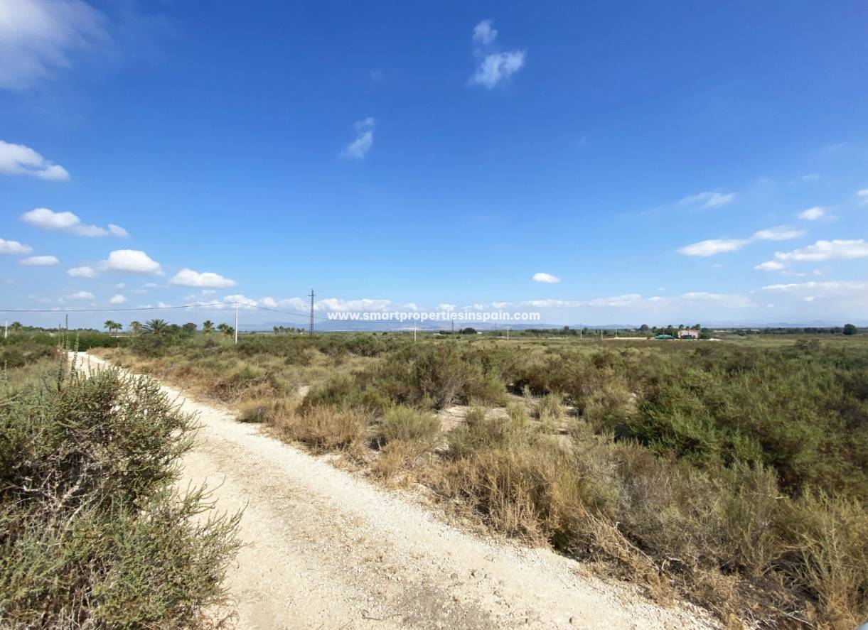 Wederverkoop - Plot - La Marina - Elche