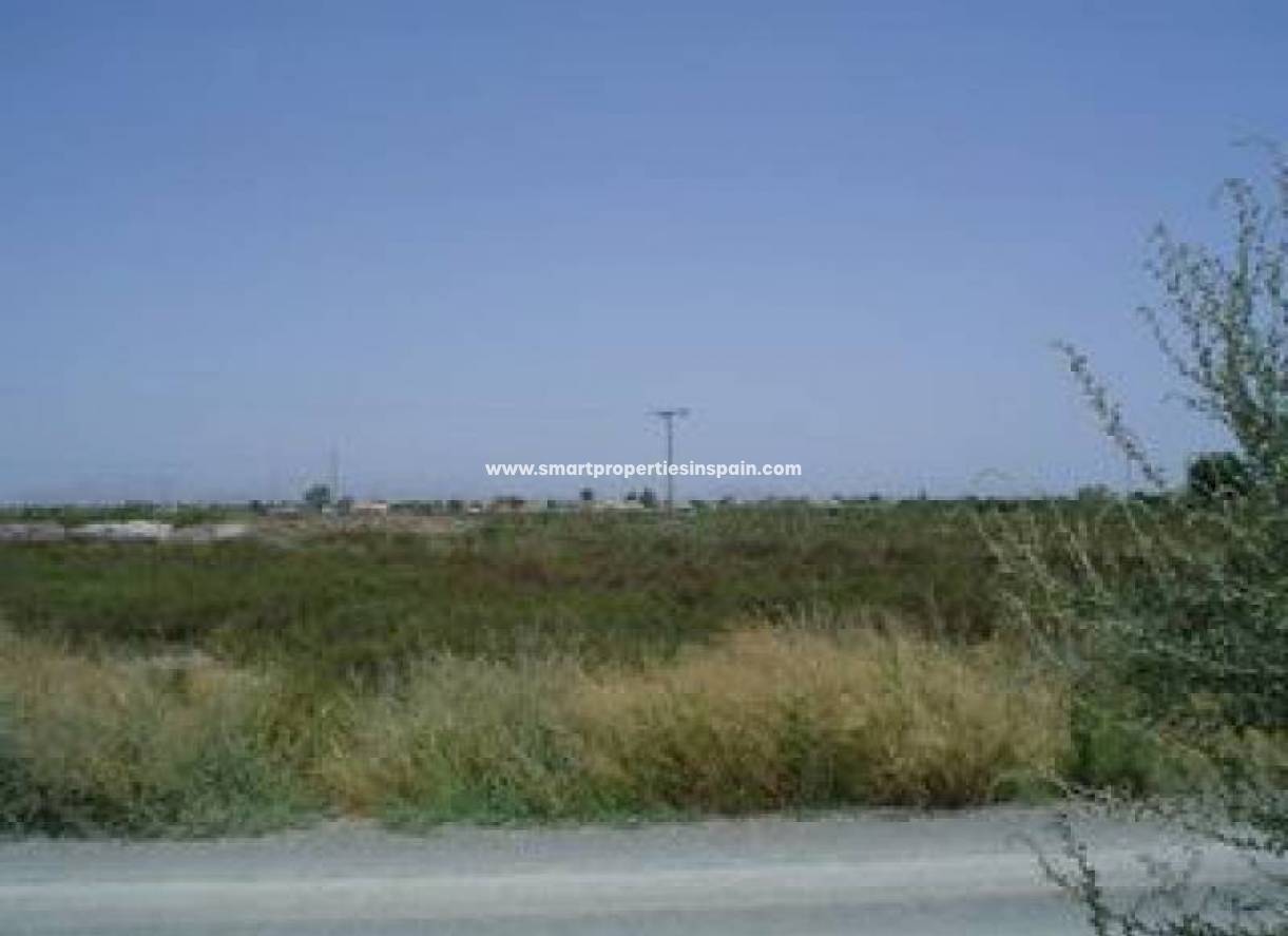 Wederverkoop - Plot - La Marina - Elche