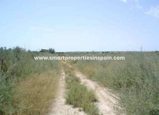 Wederverkoop - Plot - La Marina - Elche