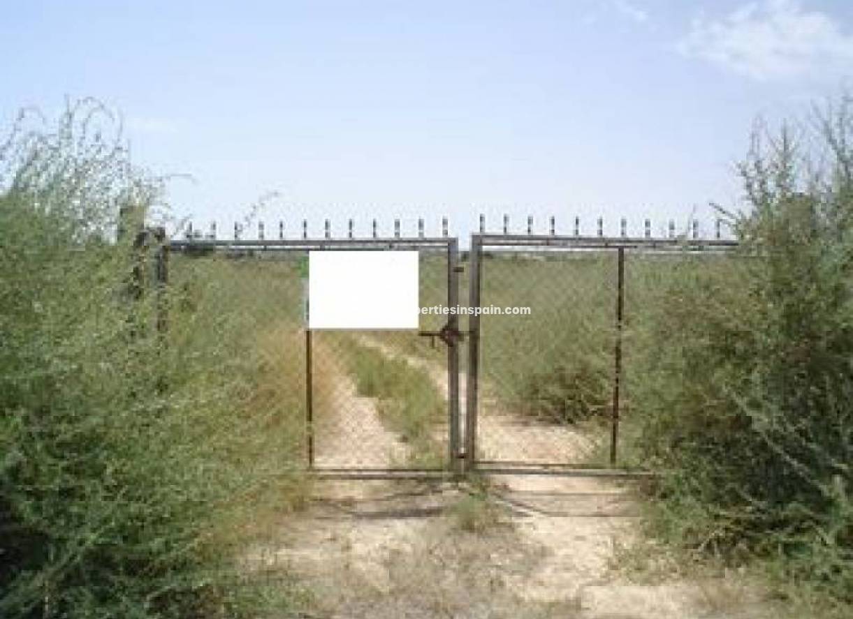 Wederverkoop - Plot - La Marina - Elche