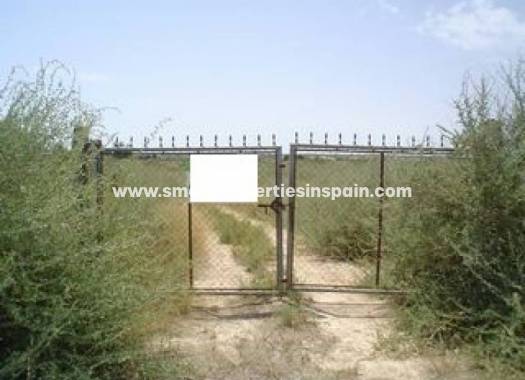 Wederverkoop - Plot - La Marina - Elche