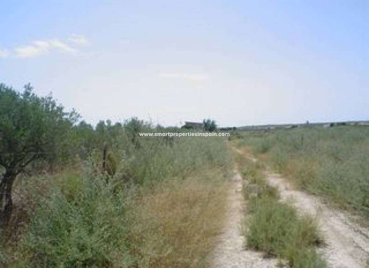 Wederverkoop - Plot - La Marina - Elche