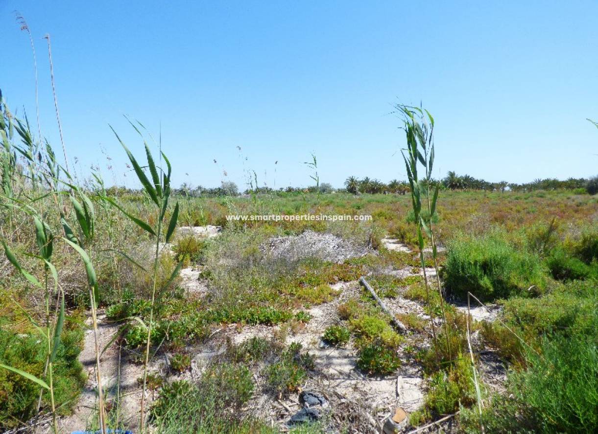 Wederverkoop - Plot - La Marina - Urbanización La Marina