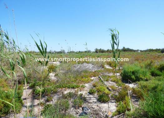 Wederverkoop - Plot - La Marina - Urbanización La Marina