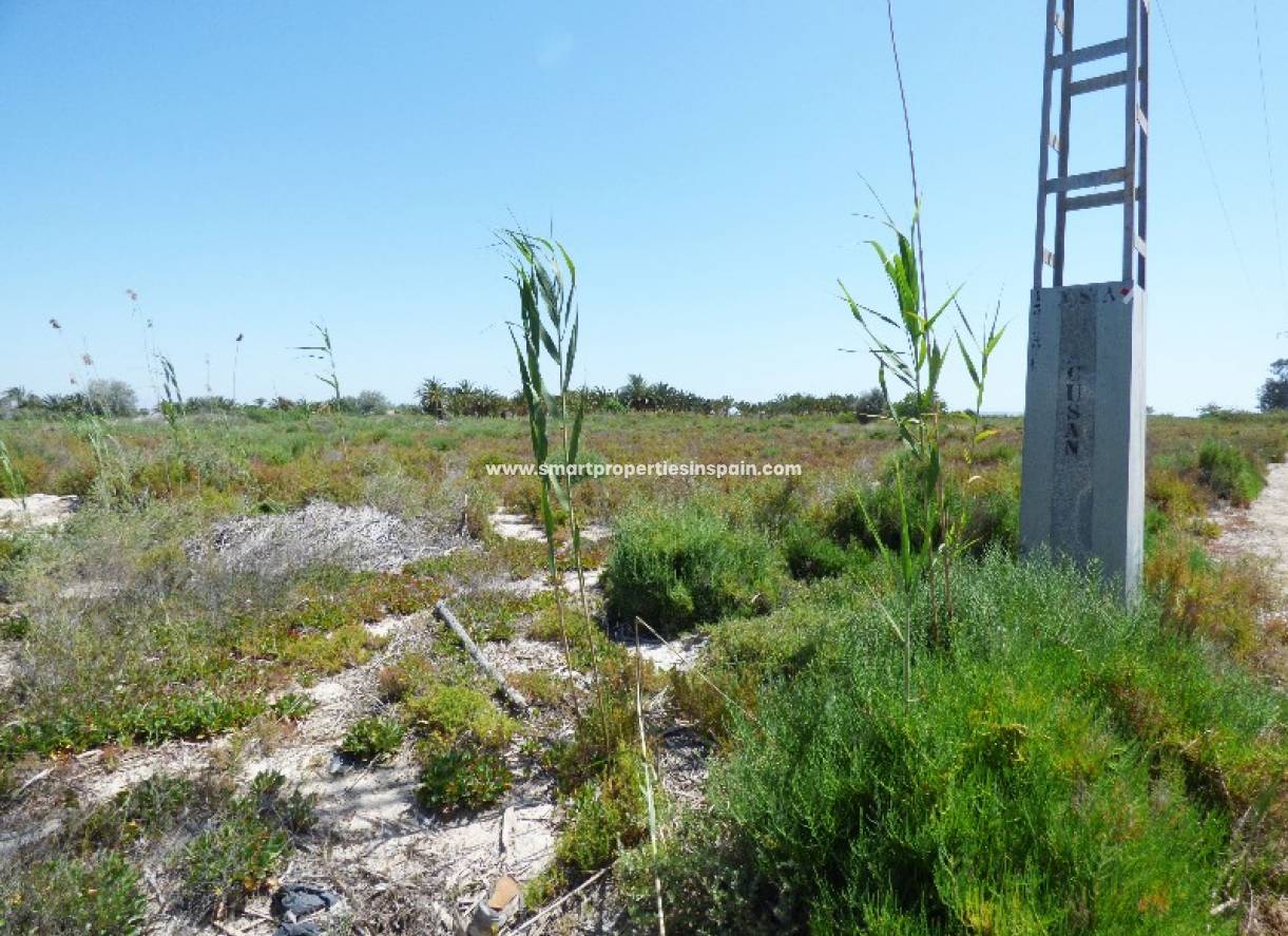 Wederverkoop - Plot - La Marina - Urbanización La Marina