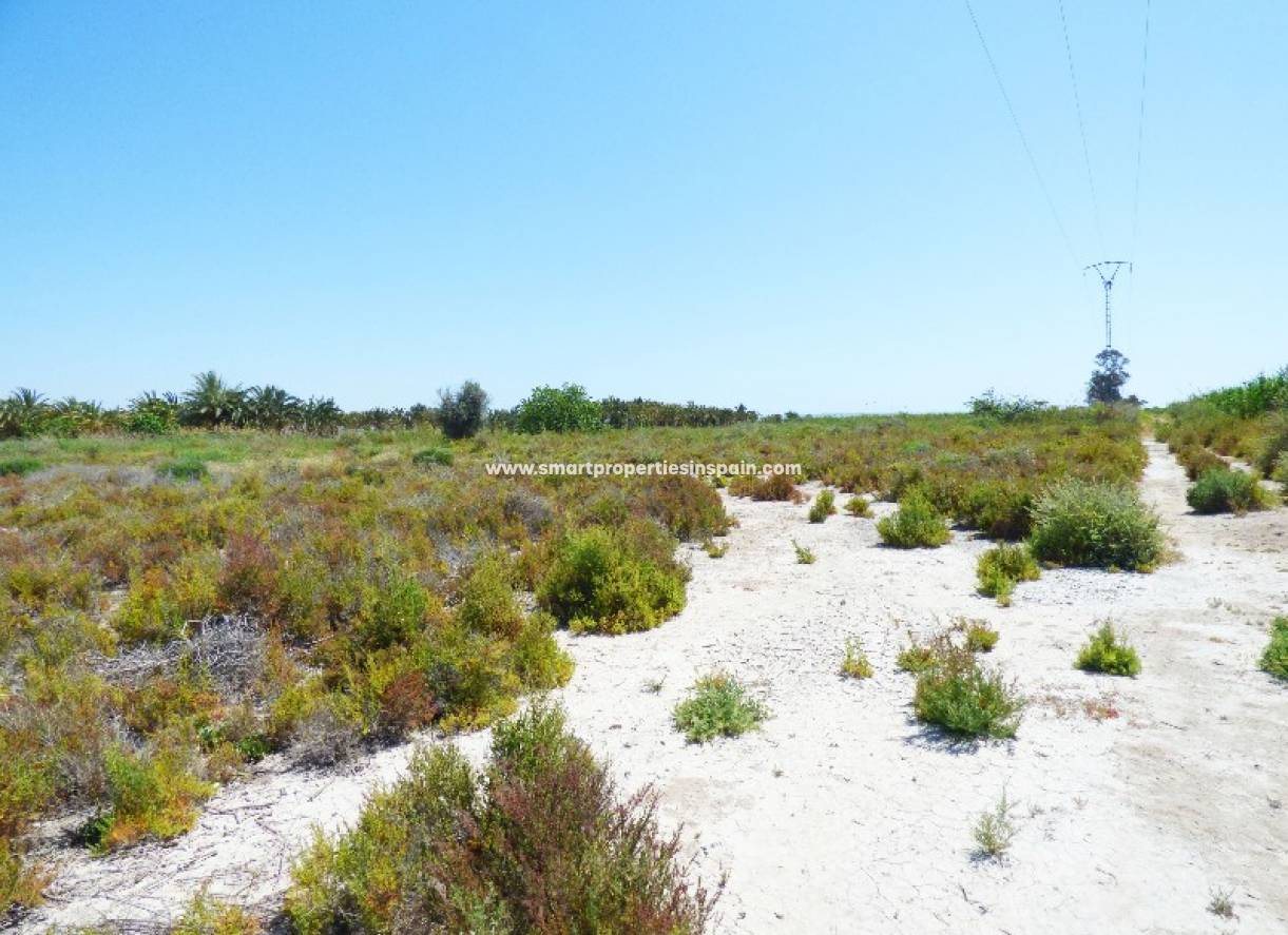 Wederverkoop - Plot - La Marina - Urbanización La Marina