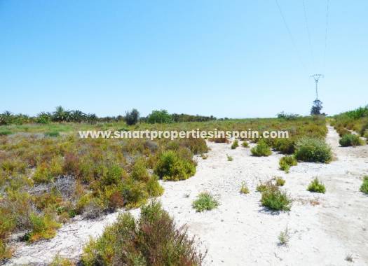 Wederverkoop - Plot - La Marina - Urbanización La Marina