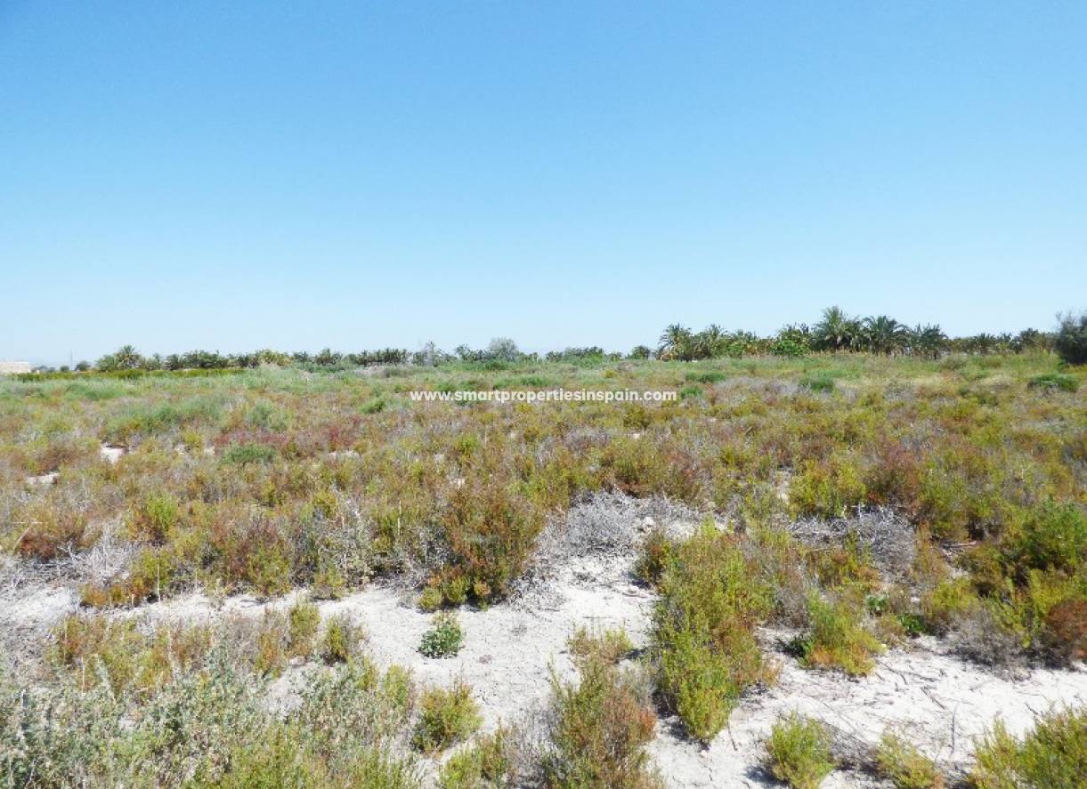 Wederverkoop - Plot - La Marina - Urbanización La Marina