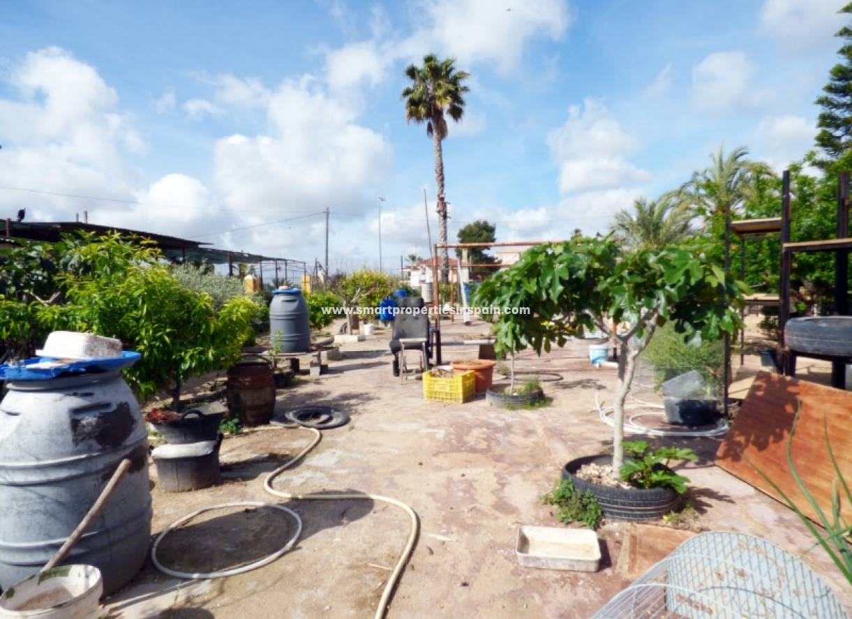 Wederverkoop - Plot - La Marina - Urbanización La Marina