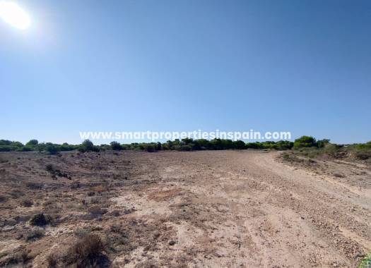 Wederverkoop - Plot - La Marina - Urbanización La Marina