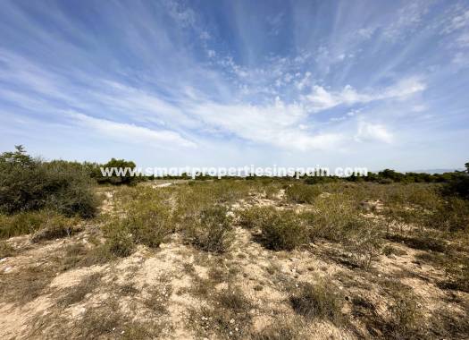 Wederverkoop - Plot - La Marina - Urbanización La Marina