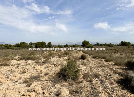 Wederverkoop - Plot - La Marina - Urbanización La Marina