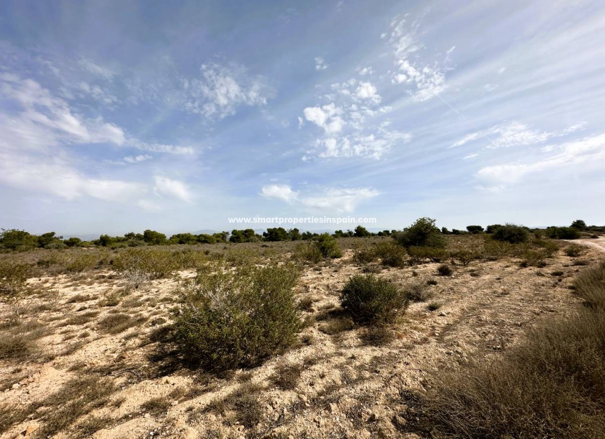 Wederverkoop - Plot - La Marina - Urbanización La Marina