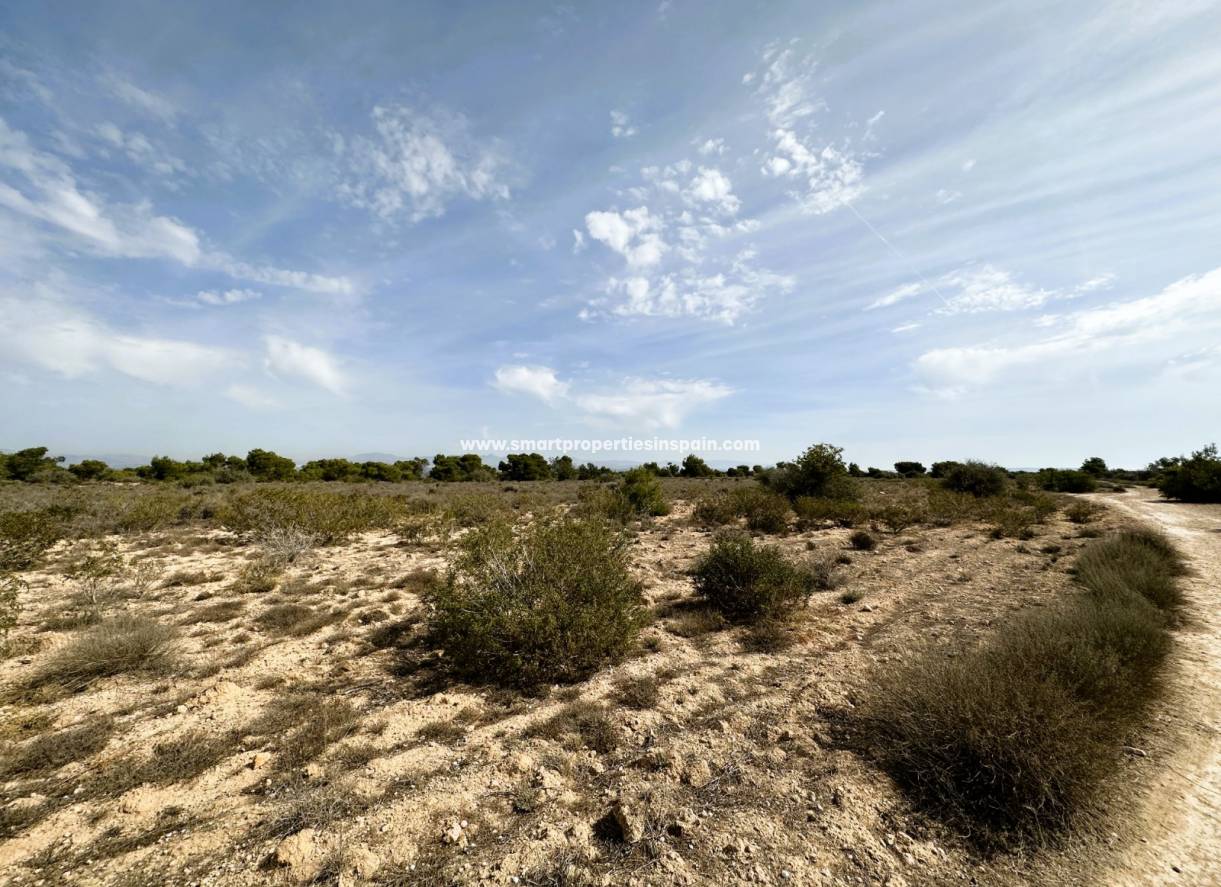 Wederverkoop - Plot - La Marina - Urbanización La Marina
