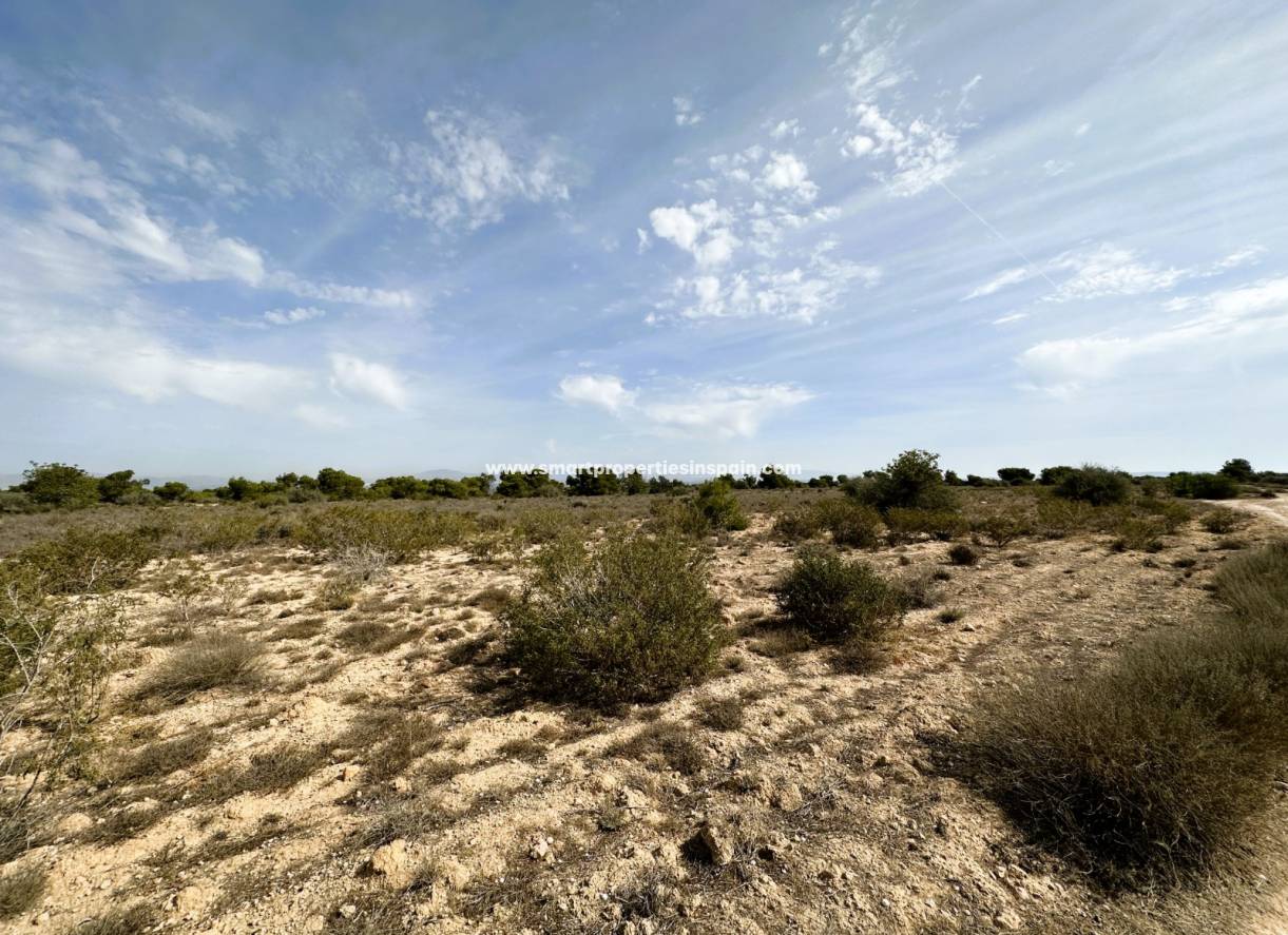 Wederverkoop - Plot - La Marina - Urbanización La Marina