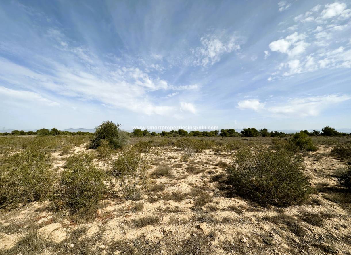 Wederverkoop - Plot - La Marina - Urbanización La Marina
